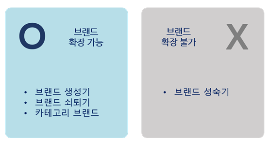 브랜드 확장 가능성