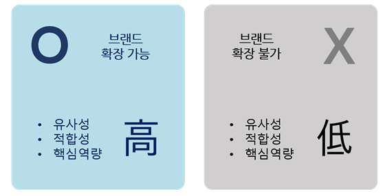 브랜드 확장 가능성